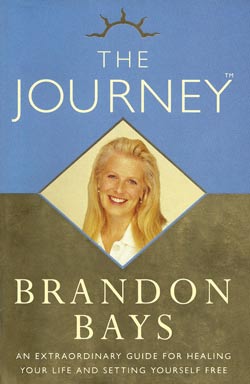 Cover snapshot of the book The journey by Brandon Bays