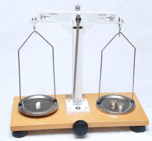 weighing scale with money
