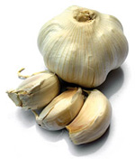 garlic-150x176