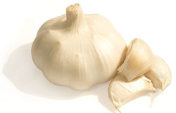 Garlic- healthy if not in excess