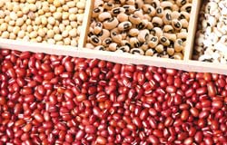 Dry beans- healthy if not in excess
