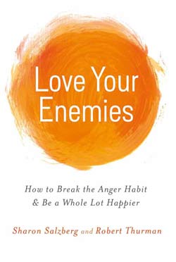 book-love-your-enemies-250