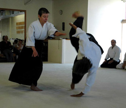 Aikido on the mat