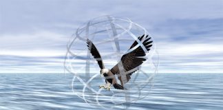 Security is an illusion Bird in a cage