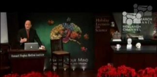 Video: How the Spinal Cord Controls Movement