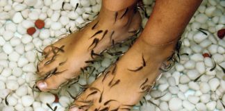 Fish therapy