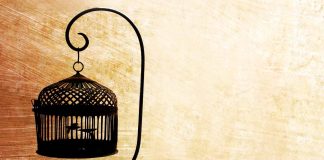 A empty cage | Are you possessed?