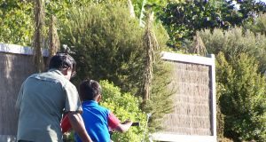 Man helping the child to ride bicycle