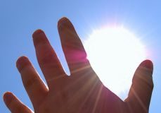 Skin evolution sunburned hand