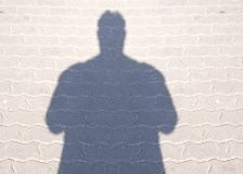 The link between Vitamin E and obesity fat shadow man