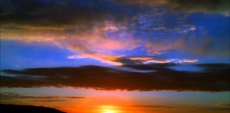 Gratitude: the gateway to a wondrous day everyday