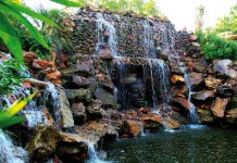 Taruveda Spa: The tree that rejuvenates
