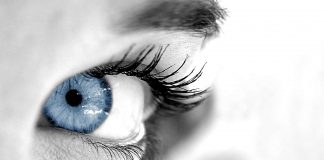 Refresh your perceptions Close-ip ofa human eye / concept of perceptions
