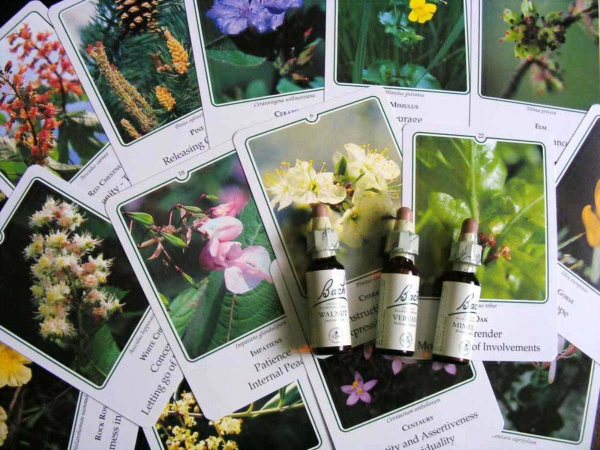 Try Bach Flower Remedies To Manage Problems Of Old Age Complete Wellbeing
