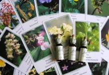 Bach flower bottles