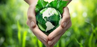 Care about the planet? Make these little changes planet earth in palms, green environment