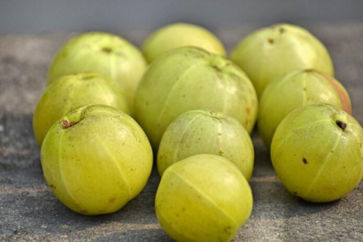 10 health benefits of amla (Indian Gooseberry) - Complete Wellbeing